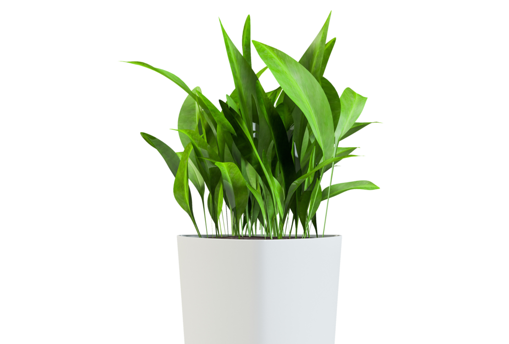 Accessories for Indoor & Outdoor Spaces Allé Designs