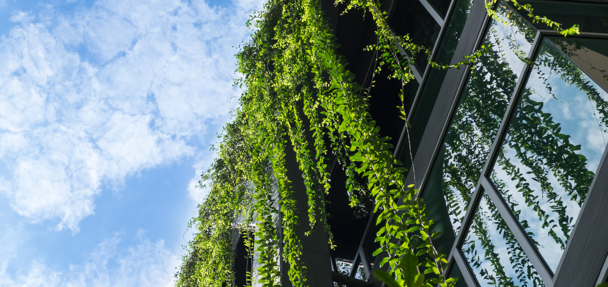 Sprucing Up Your Commercial Courtyard