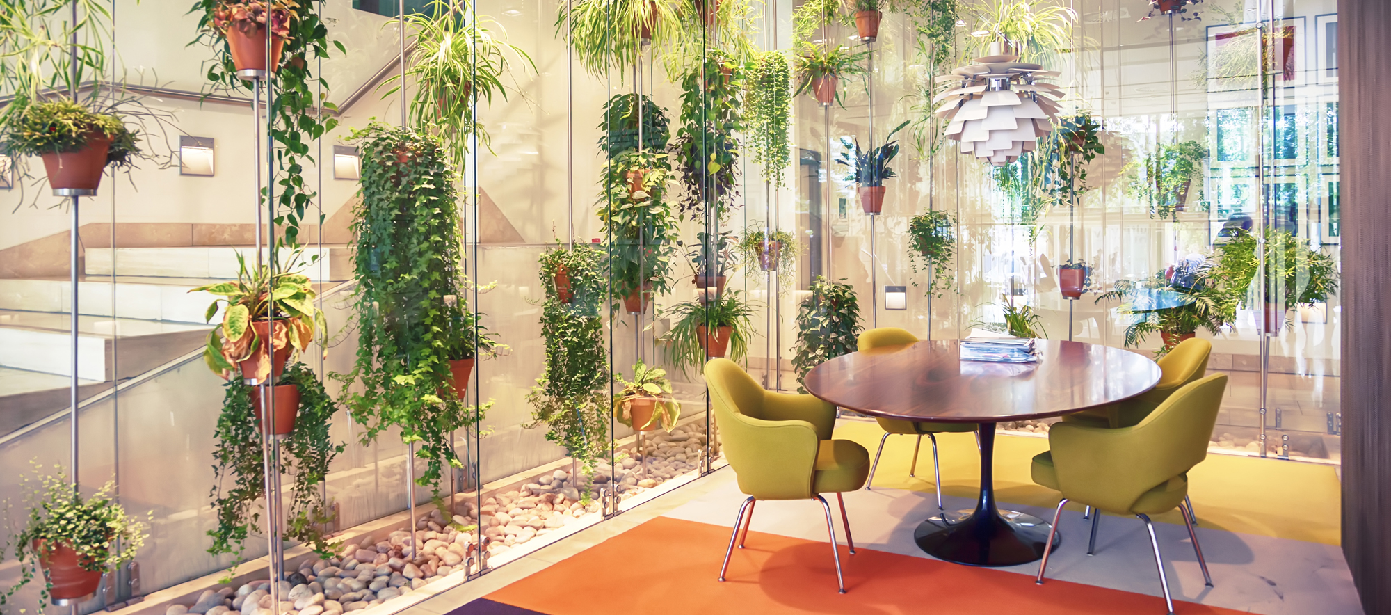 3 Benefits of Having Plants at Work