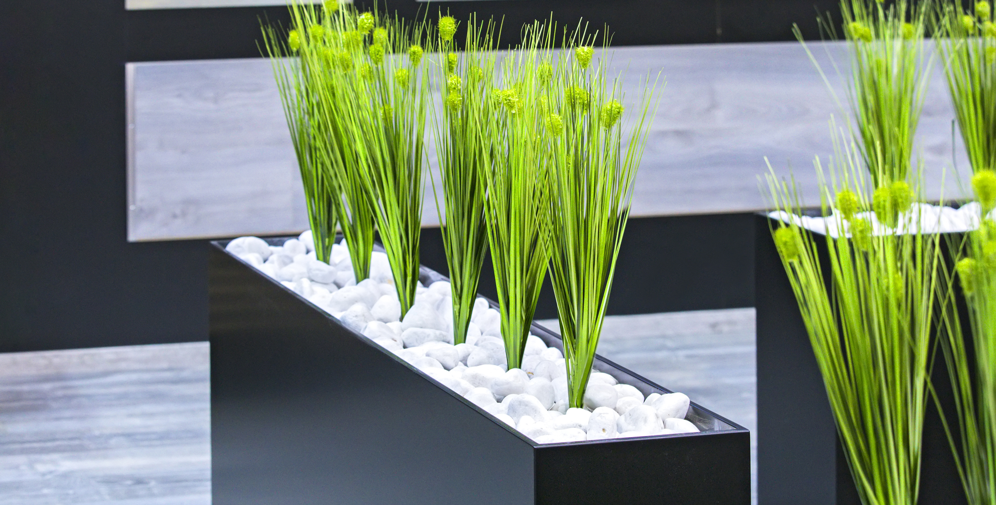 3 Benefits of Modern Fiberglass Planters