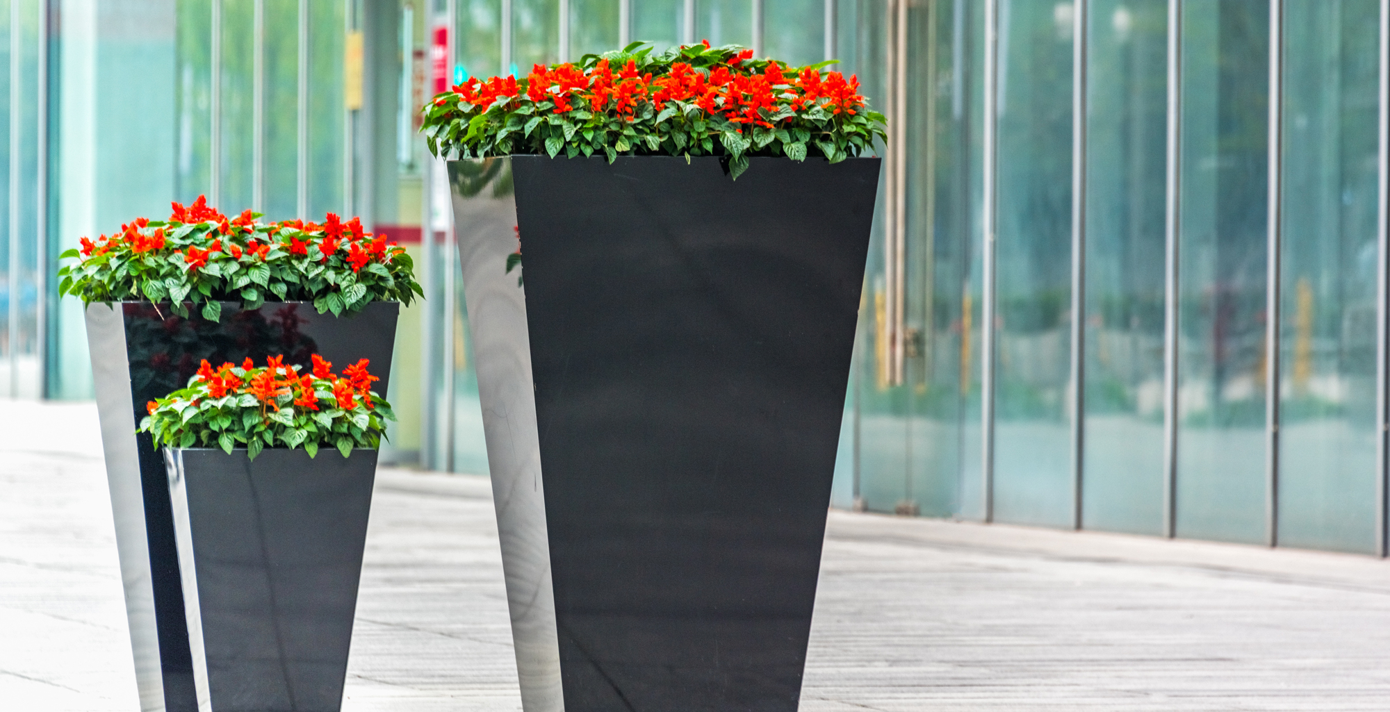 How to Clean Fiberglass Planters in Time for Spring