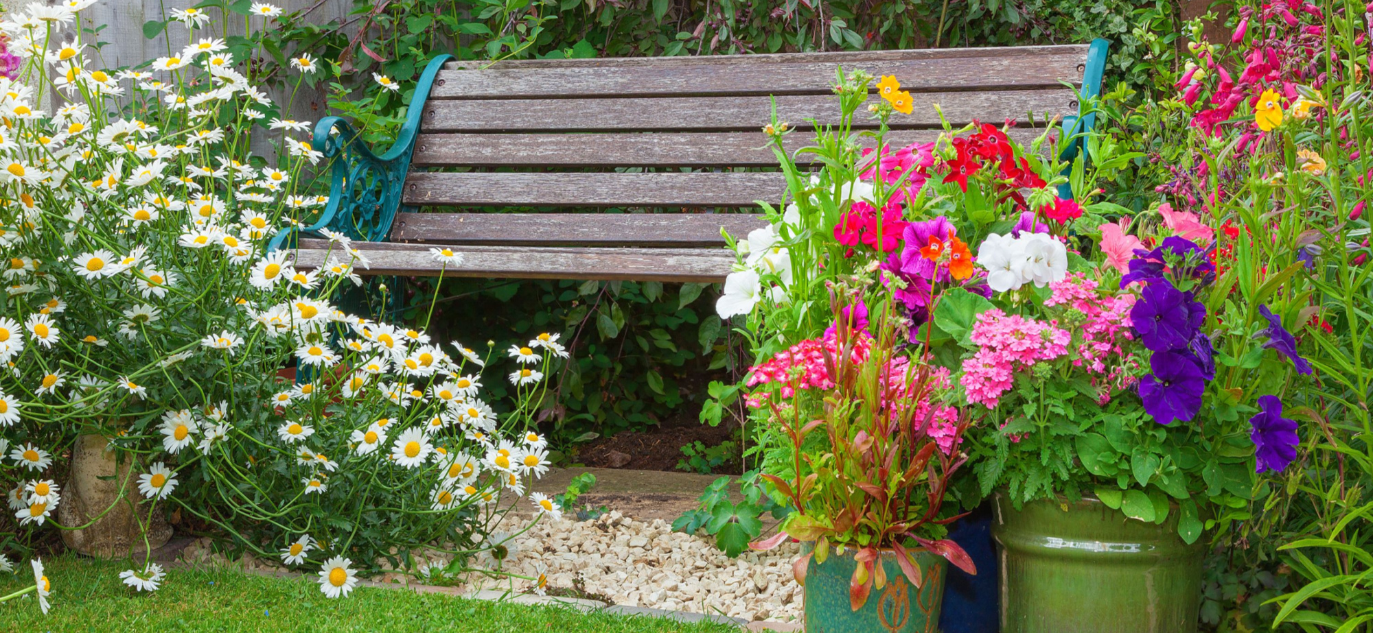 Does the Shape of Your Planter Matter?